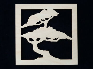štvorec bonsai